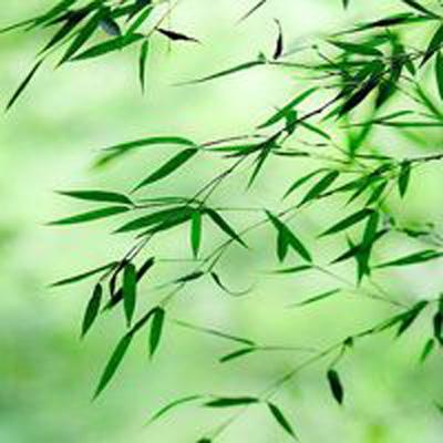 龙城扛把子手游下载